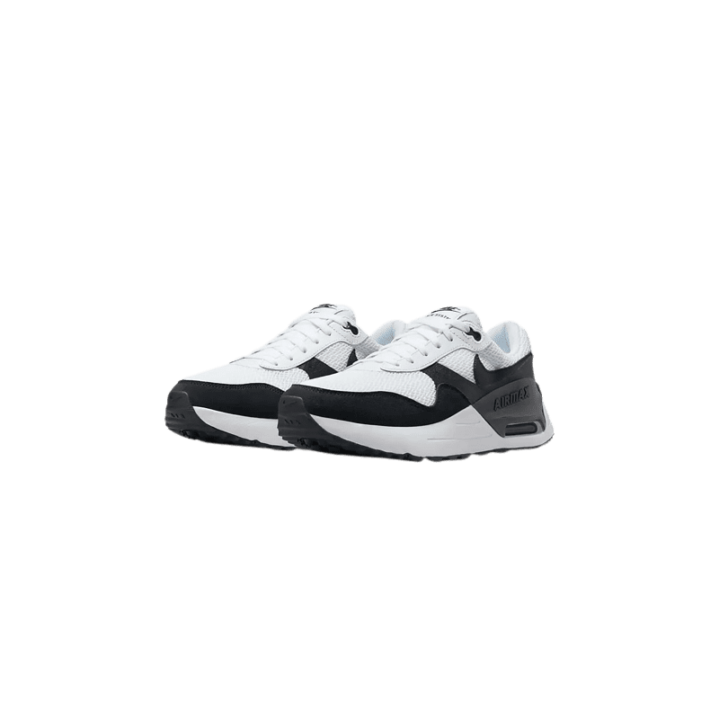 ACHAT CHAUSSURE HOMME NIKE AIR MAX SYSTM NOIR deux paire profil avant gauche
