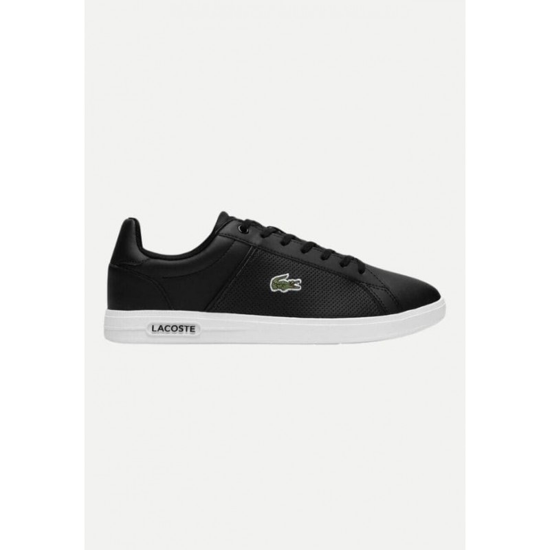 Chaussure Lacoste Homme